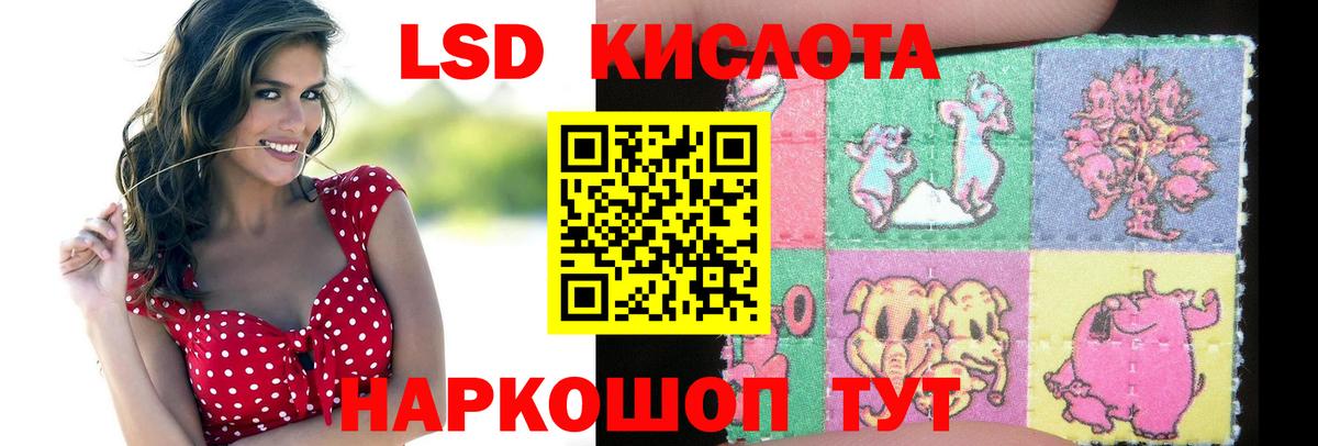 LSD-25 экстази кислота  Вход с VPN  Лсд 25 экстази кислота  Новозыбков 