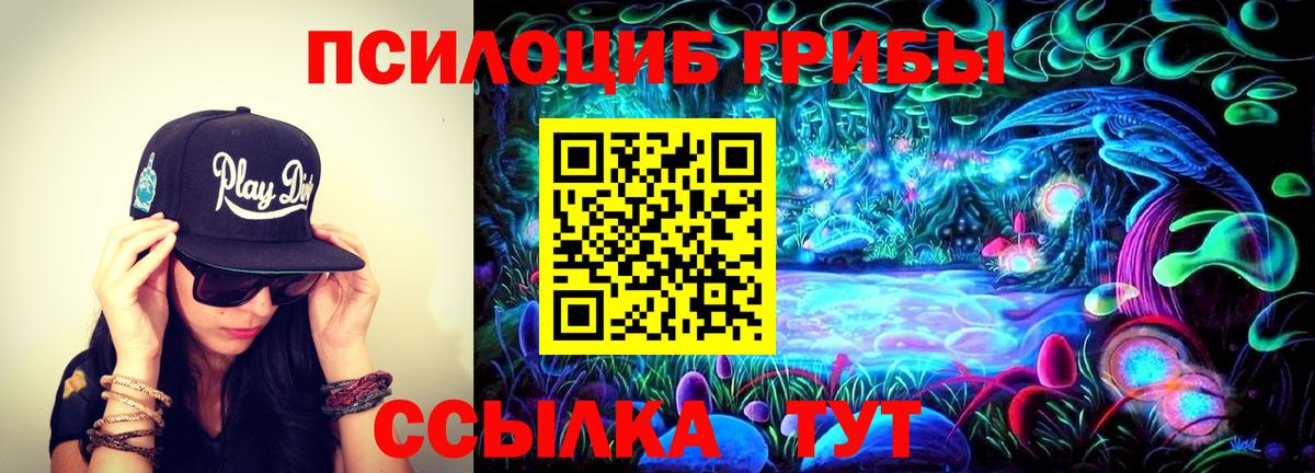 как найти   Вход с VPN  Новозыбков  Псилоцибиновые грибы прущие грибы 